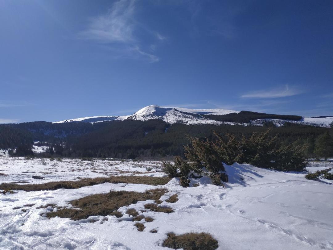 Nid Sous Le Volcan Saint-Sandoux Esterno foto